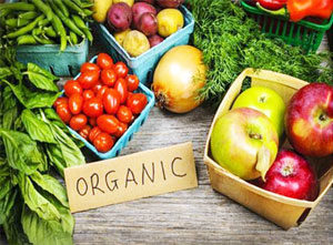 Organic Products Manufacturers Exporters Suppliers in India