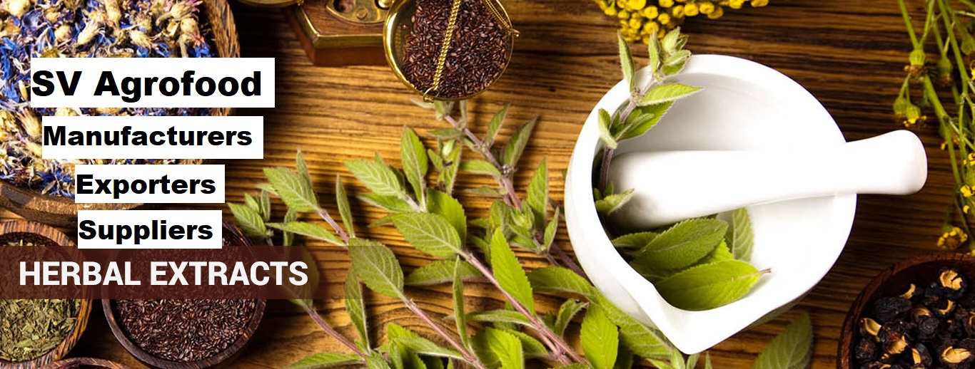 Herbal Extracts Manufacturers Exporters Suppliers in India