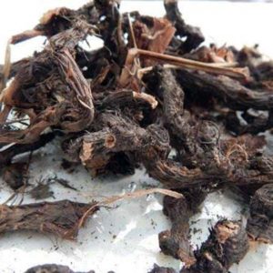 Cyperus scariosus root Powder manufacturers exporters suppliers in India