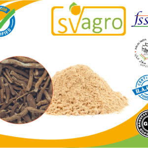Ginseng Ashwagandha Extract Powder manufacturers exporters suppliers in India