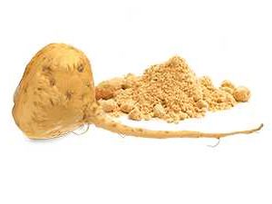 Maca Root Powder manufacturers exporters suppliers in India