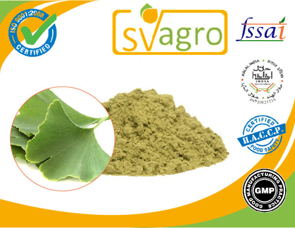 Ginkgo Biloba Extract manufacturers exporters suppliers in India