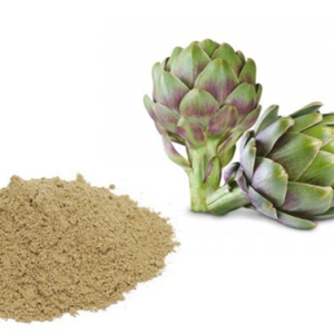 Artichoke Extract manufacturers exporters suppliers in India